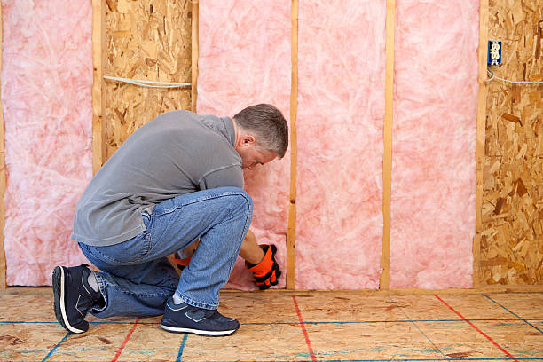 Insulation Inspection Services in Eldridge, IA